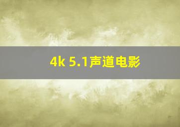 4k 5.1声道电影